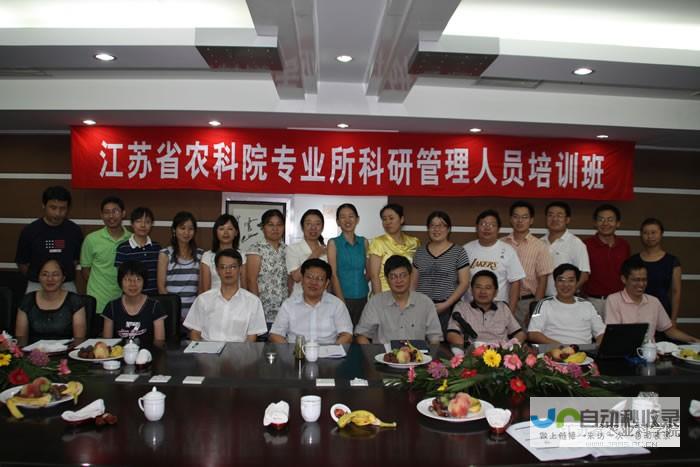 金湖专业网站建设服务：从策划到上线，全方位满足您的企业互联网需求